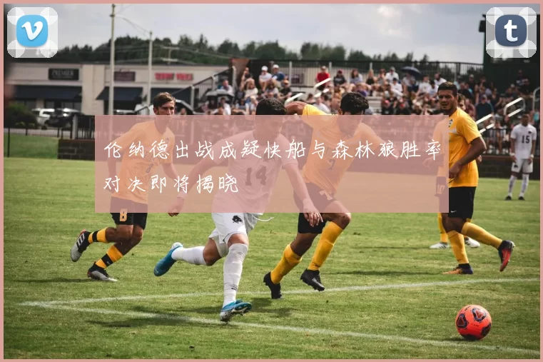 伦纳德出战成疑快船与森林狼胜率对决即将揭晓