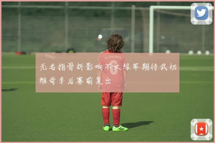 无名指骨折影响不大绿军期待武切维奇季后赛前复出